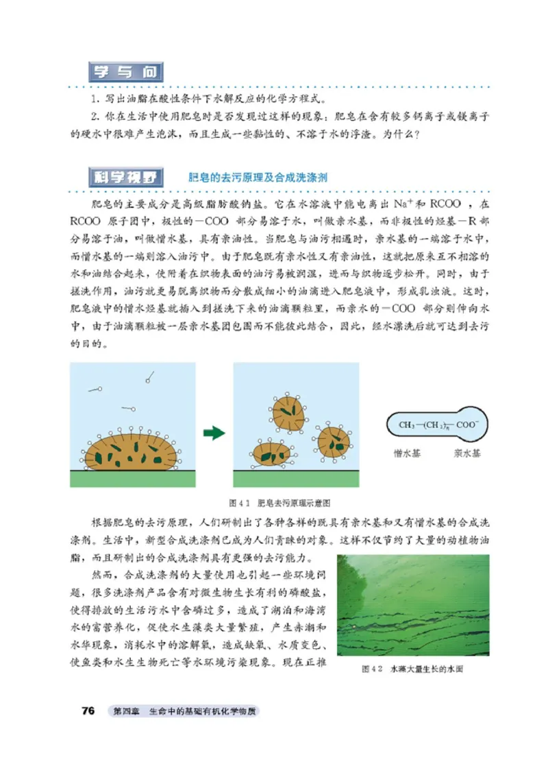 高中化学选修5有机化学基础_4-教培资料-26年最新资料-同步更新_初中高中教资_03科三专项（进去保存报考的学科即可）_02科三专项（笔记真题思维导图教学设计版本二）