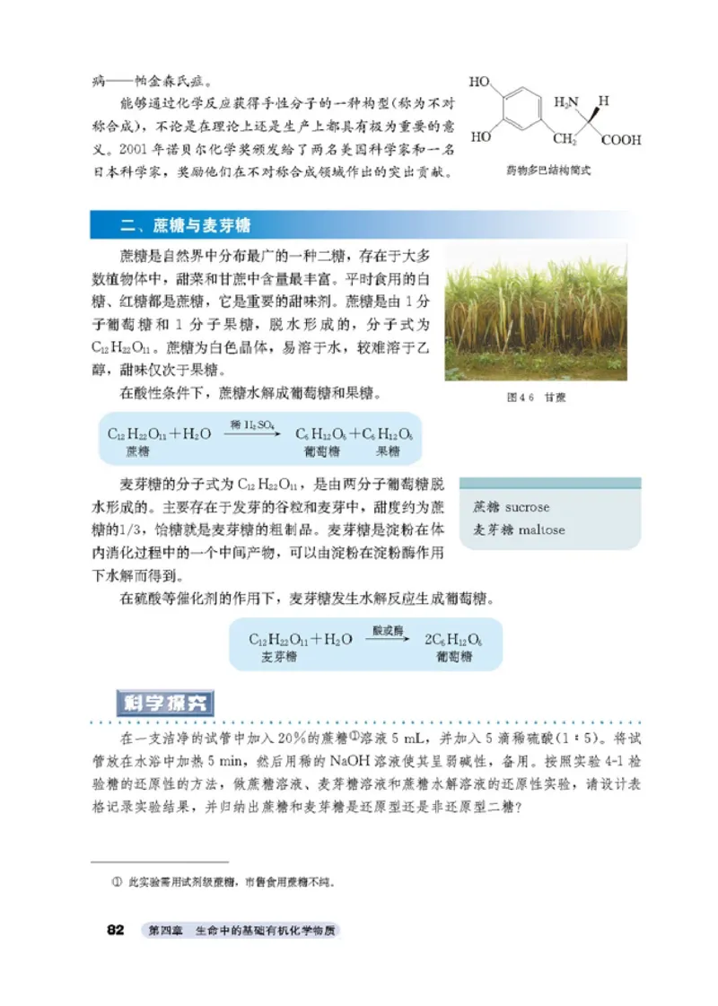 高中化学选修5有机化学基础_4-教培资料-26年最新资料-同步更新_初中高中教资_03科三专项（进去保存报考的学科即可）_02科三专项（笔记真题思维导图教学设计版本二）