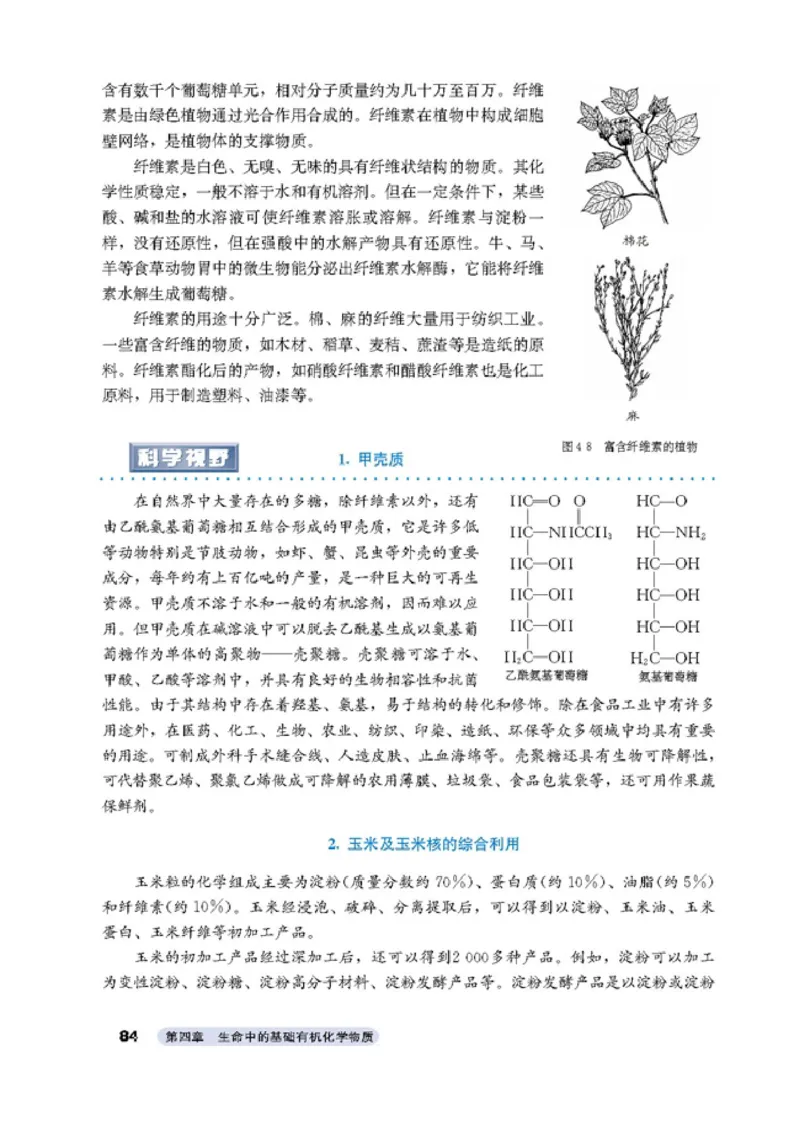 高中化学选修5有机化学基础_4-教培资料-26年最新资料-同步更新_初中高中教资_03科三专项（进去保存报考的学科即可）_02科三专项（笔记真题思维导图教学设计版本二）