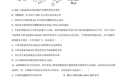 2025《高考真题&bull;陕晋青宁》生物试卷_2025《全国高考真题卷》各地方卷_2025《高考真题&bull;陕晋青宁》