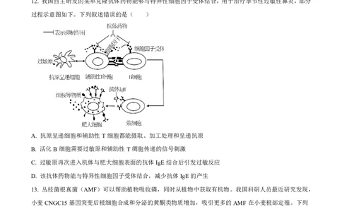 2025《高考真题&bull;陕晋青宁》生物试卷_2025《全国高考真题卷》各地方卷_2025《高考真题&bull;陕晋青宁》