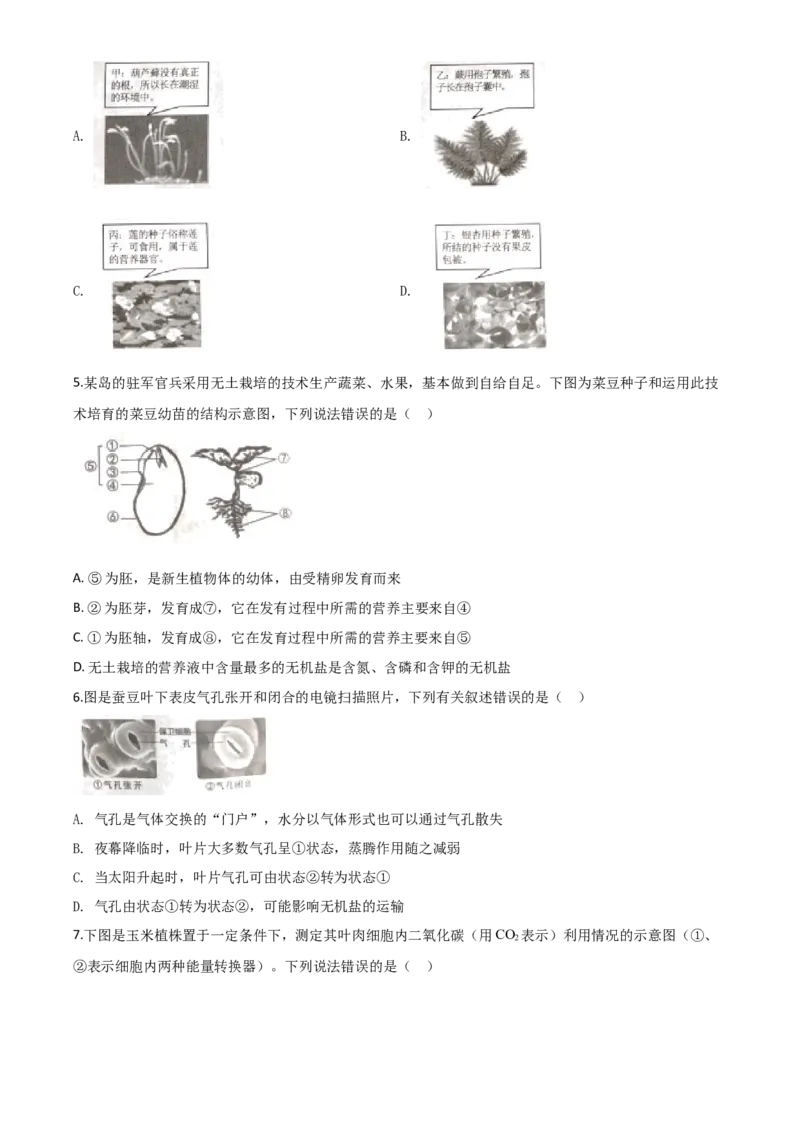 精品解析：湖南省张家界市2020年中考生物试题（原卷版）_中考真题_8.生物中考真题2015-2024年_2020生物真题74份_2020年中考真题解析生物(湖南张家界卷)精编word版