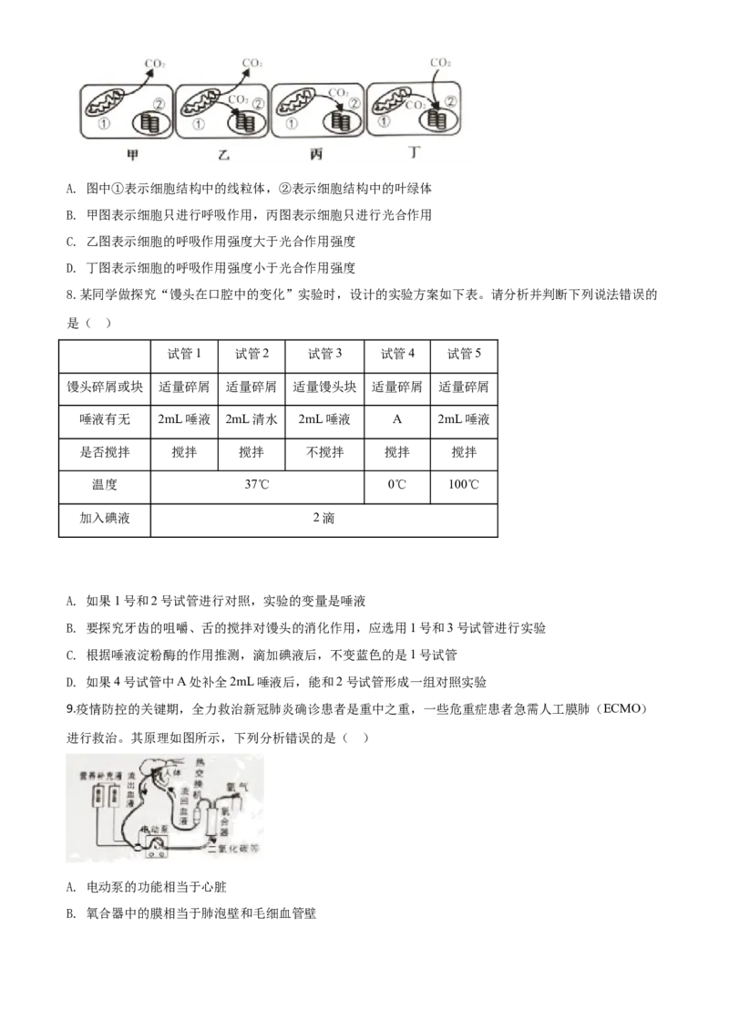 精品解析：湖南省张家界市2020年中考生物试题（原卷版）_中考真题_8.生物中考真题2015-2024年_2020生物真题74份_2020年中考真题解析生物(湖南张家界卷)精编word版