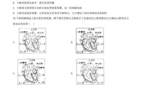 精品解析：湖南省张家界市2020年中考生物试题（原卷版）_中考真题_8.生物中考真题2015-2024年_2020生物真题74份_2020年中考真题解析生物(湖南张家界卷)精编word版