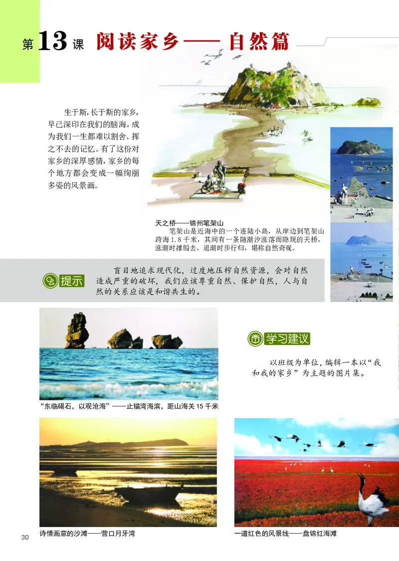 辽海版9年级美术上册高清教材_4-教培资料-26年最新资料-同步更新_初中高中教资_03科三专项（进去保存报考的学科即可）_02科三专项（笔记真题思维导图教学设计版本二）