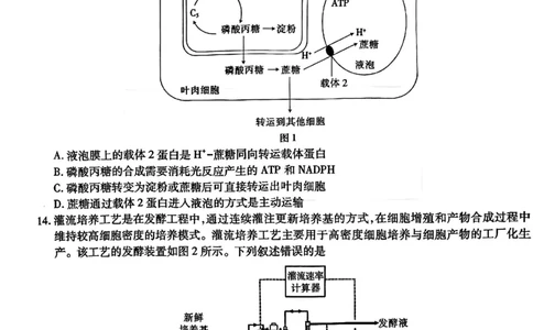 上进联考2025-2026学年新高三秋季入学摸底考试生物_2025年8月_250830广东省上进联考2025-2026学年新高三秋季入学摸底考试（全科）