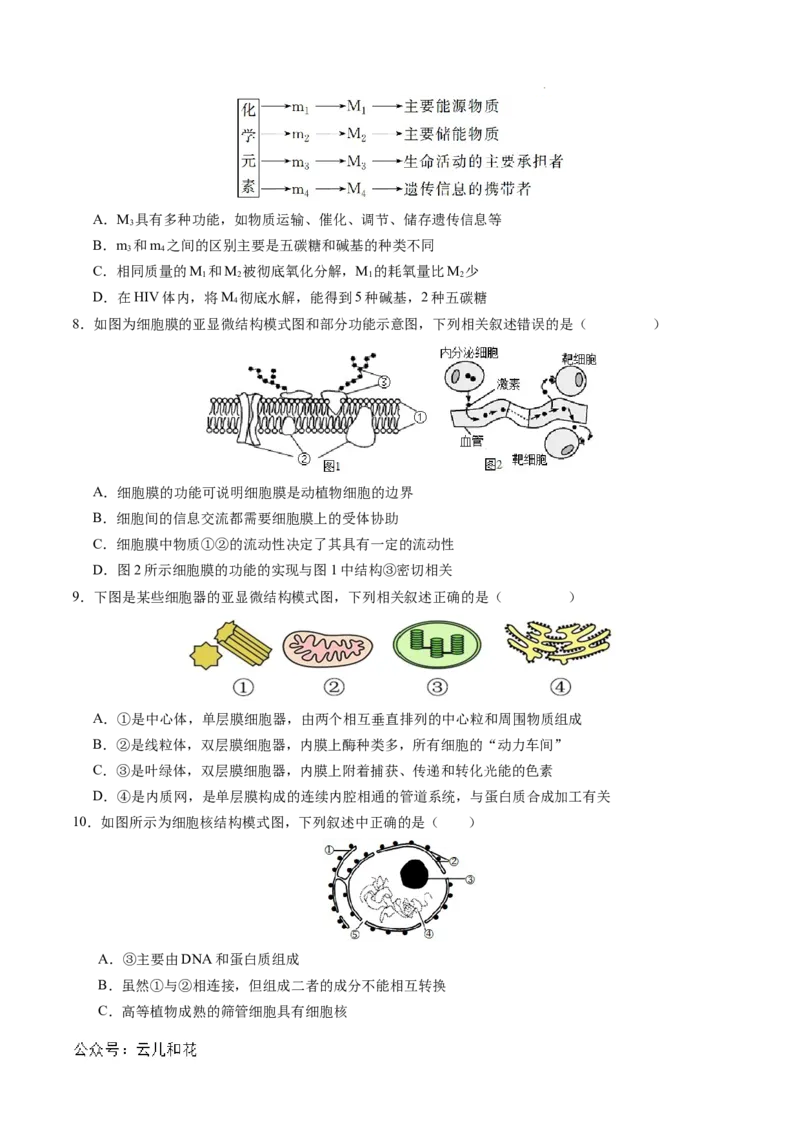 高一生物期中模拟卷03测试范围：人教版2019第1~4章（考试版A4）（新高考通用）_1多考区联考试卷_1014高一期中模拟卷（新高考通用）黄金卷：2024-2025学年高一上学期期中模拟考试
