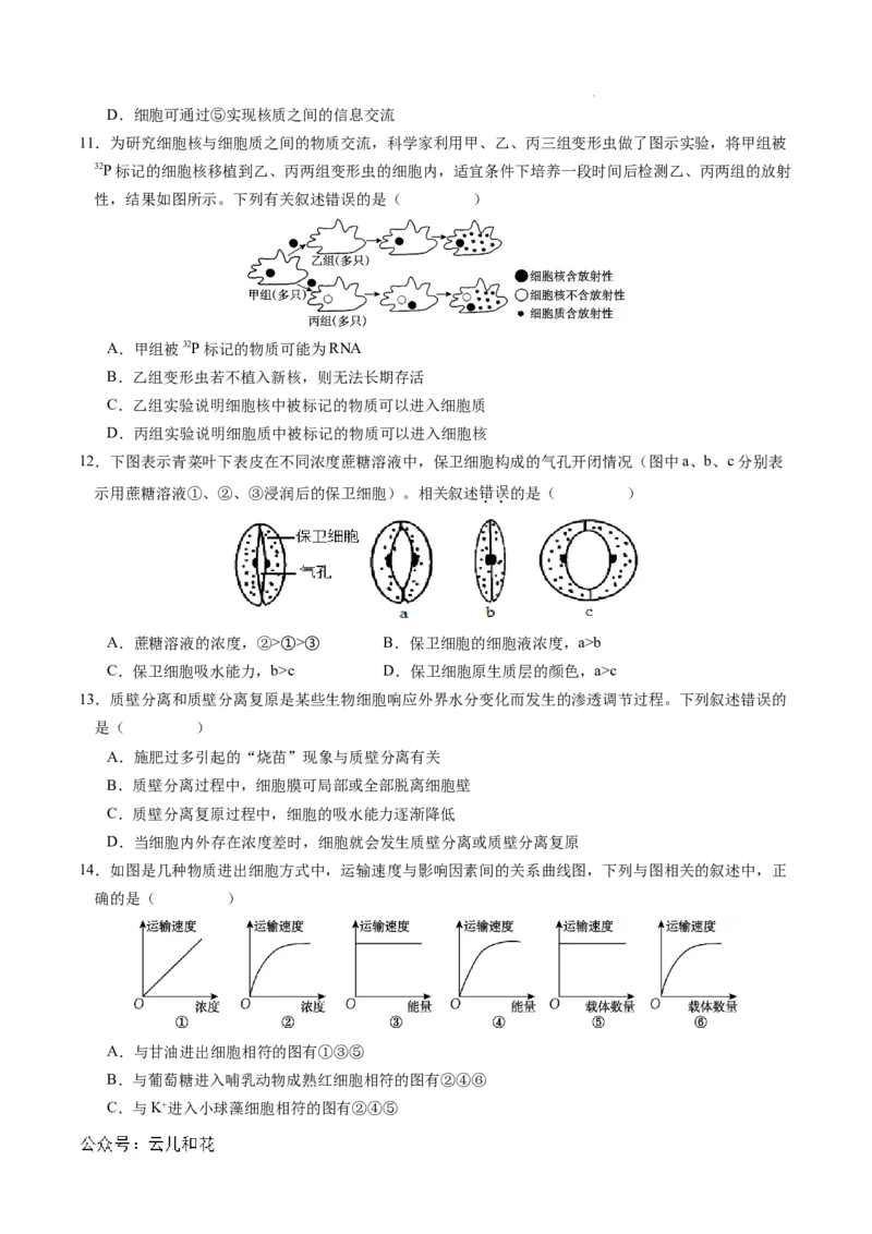 高一生物期中模拟卷03测试范围：人教版2019第1~4章（考试版A4）（新高考通用）_1多考区联考试卷_1014高一期中模拟卷（新高考通用）黄金卷：2024-2025学年高一上学期期中模拟考试