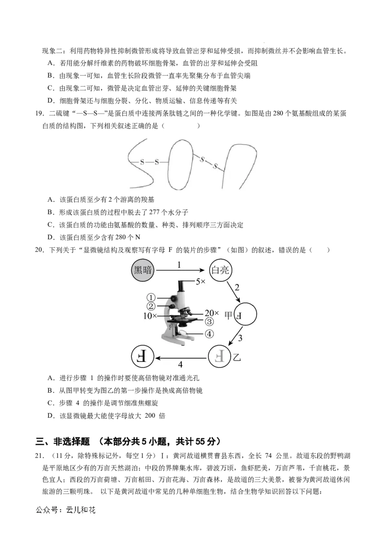 高一生物期中模拟卷03测试范围：人教版2019第1~4章（考试版A4）（新高考通用）_1多考区联考试卷_1014高一期中模拟卷（新高考通用）黄金卷：2024-2025学年高一上学期期中模拟考试