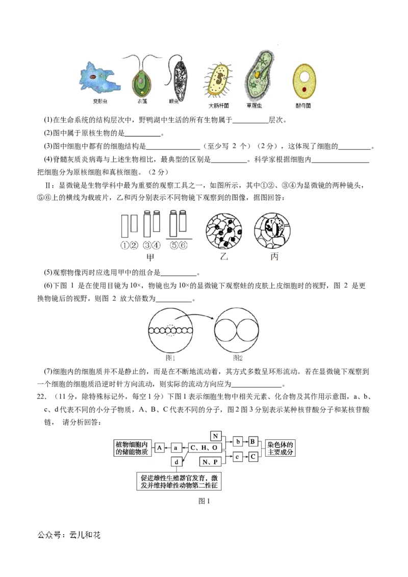 高一生物期中模拟卷03测试范围：人教版2019第1~4章（考试版A4）（新高考通用）_1多考区联考试卷_1014高一期中模拟卷（新高考通用）黄金卷：2024-2025学年高一上学期期中模拟考试