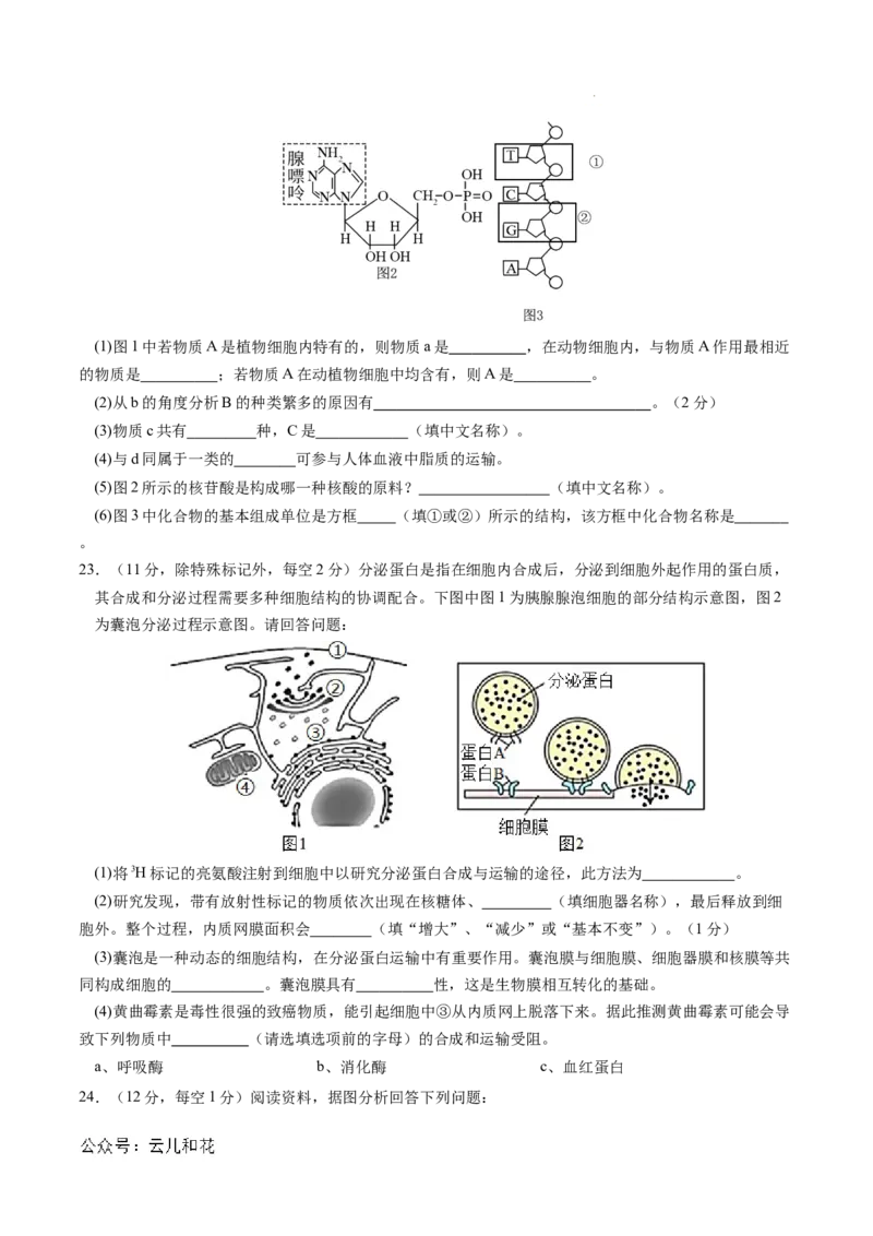 高一生物期中模拟卷03测试范围：人教版2019第1~4章（考试版A4）（新高考通用）_1多考区联考试卷_1014高一期中模拟卷（新高考通用）黄金卷：2024-2025学年高一上学期期中模拟考试