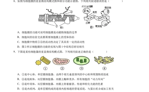 高一生物期中模拟卷03测试范围：人教版2019第1~4章（考试版A4）（新高考通用）_1多考区联考试卷_1014高一期中模拟卷（新高考通用）黄金卷：2024-2025学年高一上学期期中模拟考试