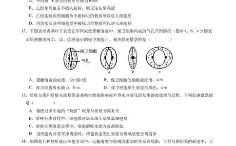 高一生物期中模拟卷03测试范围：人教版2019第1~4章（考试版A4）（新高考通用）_1多考区联考试卷_1014高一期中模拟卷（新高考通用）黄金卷：2024-2025学年高一上学期期中模拟考试