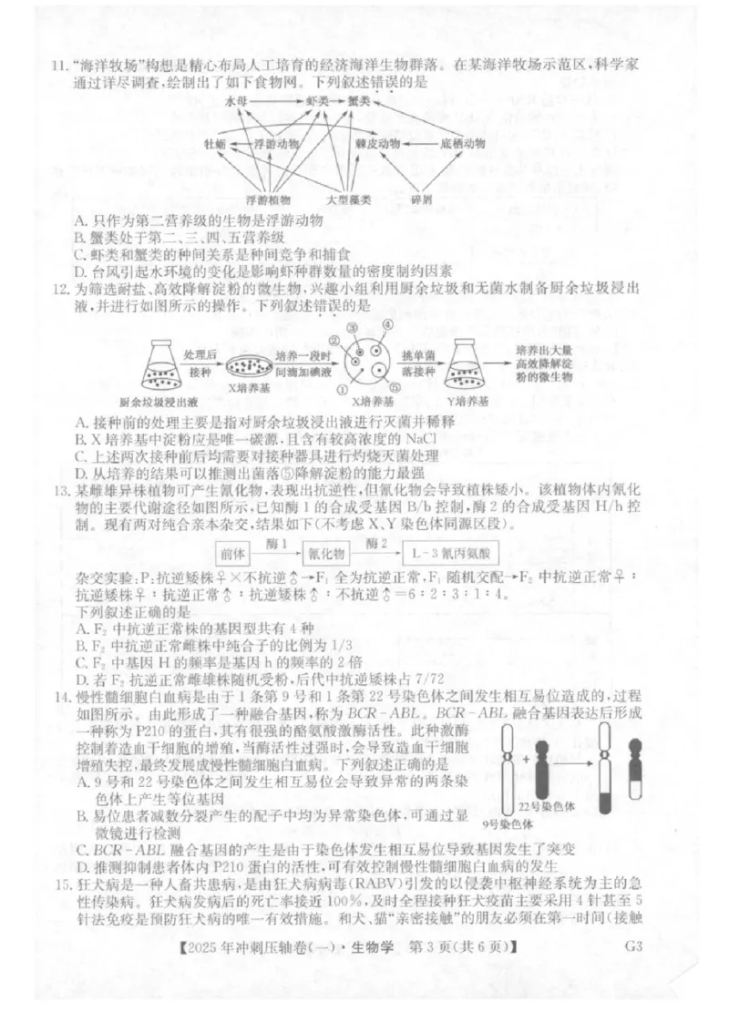 2025年普通高中学业水平选择性考试冲刺压轴卷（一)生物试卷（含答案）_2025年4月_2504042025年普通高中学业水平选择性考试冲刺压轴卷（一)