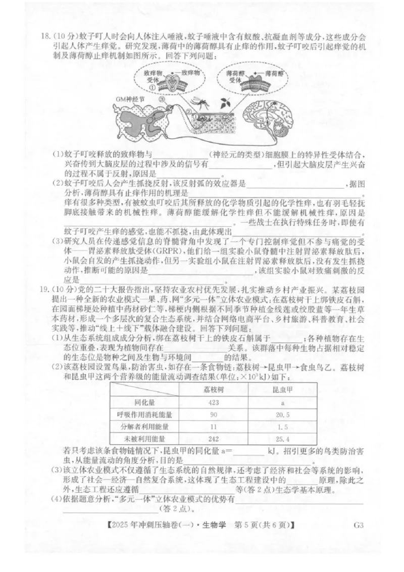 2025年普通高中学业水平选择性考试冲刺压轴卷（一)生物试卷（含答案）_2025年4月_2504042025年普通高中学业水平选择性考试冲刺压轴卷（一)
