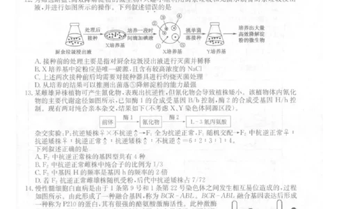 2025年普通高中学业水平选择性考试冲刺压轴卷（一)生物试卷（含答案）_2025年4月_2504042025年普通高中学业水平选择性考试冲刺压轴卷（一)
