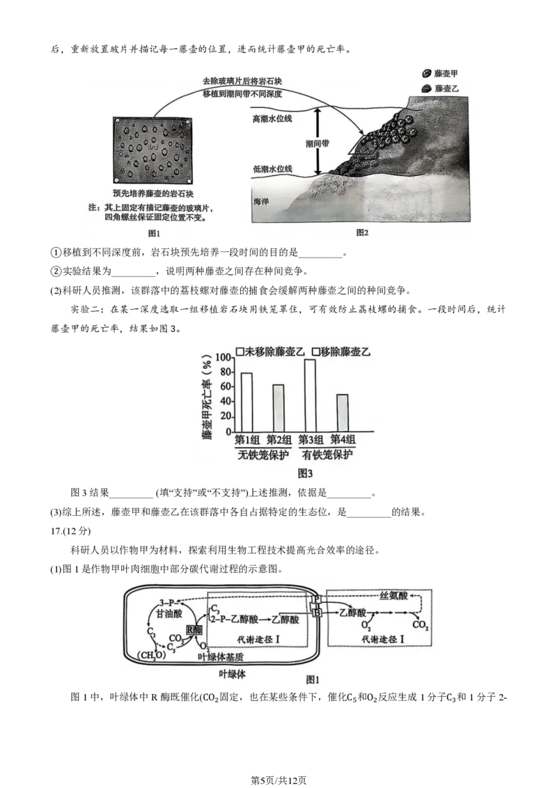 2025北京海淀高三一模生物试题及答案_2025年4月_250413北京市海淀区2025年高三一模（全科）