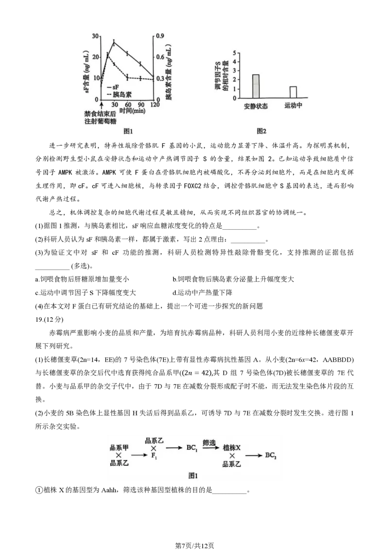 2025北京海淀高三一模生物试题及答案_2025年4月_250413北京市海淀区2025年高三一模（全科）