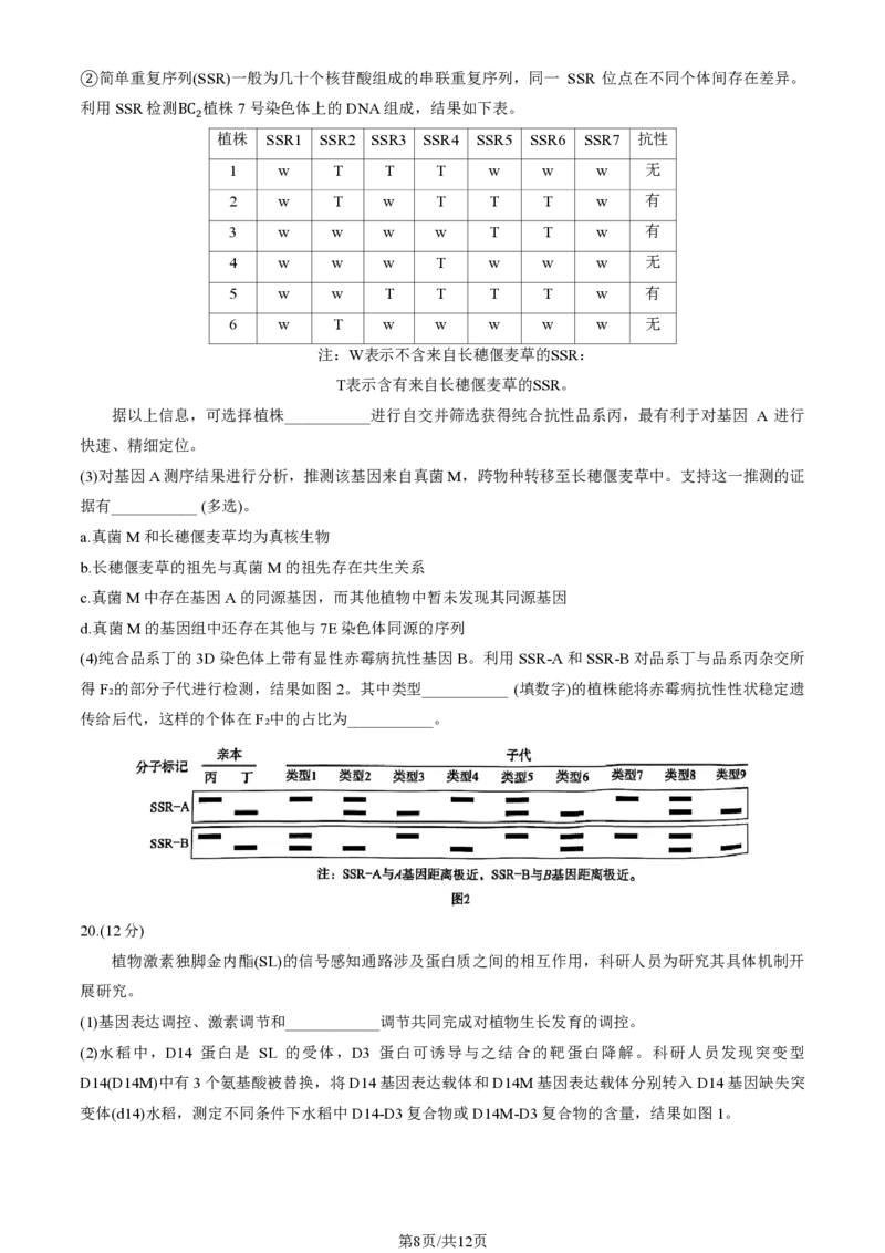 2025北京海淀高三一模生物试题及答案_2025年4月_250413北京市海淀区2025年高三一模（全科）