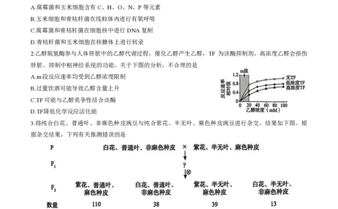 2025北京海淀高三一模生物试题及答案_2025年4月_250413北京市海淀区2025年高三一模（全科）