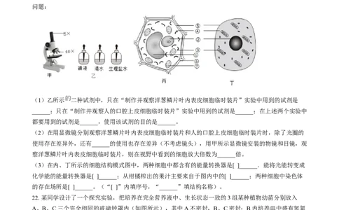 精品解析：2024年四川省眉山市中考生物试题（原卷版）_中考真题_8.生物中考真题2015-2024年_2024年中考生物真题_精品解析：2024年四川省眉山市中考生物试题