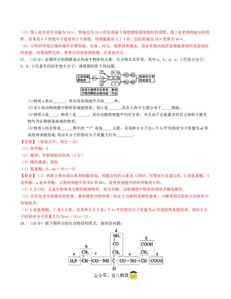 高一生物第一次月考卷（全解全析）（天津专用）_1多考区联考试卷_0924黄金卷：2024-2025学年高一上学期第一次月考9科word解析版含答题卡（天津专用）