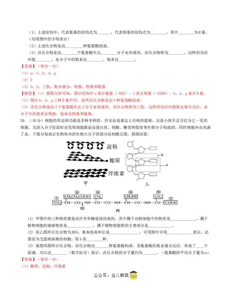 高一生物第一次月考卷（全解全析）（天津专用）_1多考区联考试卷_0924黄金卷：2024-2025学年高一上学期第一次月考9科word解析版含答题卡（天津专用）