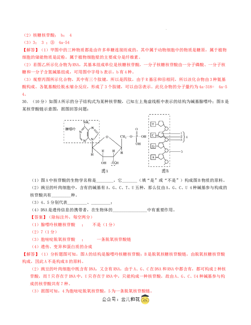 高一生物第一次月考卷（全解全析）（天津专用）_1多考区联考试卷_0924黄金卷：2024-2025学年高一上学期第一次月考9科word解析版含答题卡（天津专用）