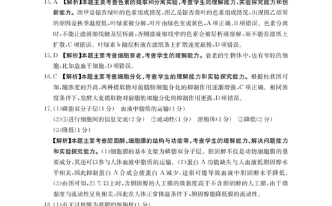 2025-2026年度上学期河南省高三年级第二次联考（26-37C）生物答案_2025年10月_251015河南省金太阳2025-2026年度上学期高三年级第二次联考（26-37C）（全科）