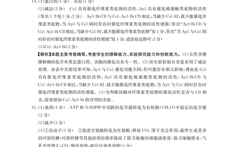 2025-2026年度上学期河南省高三年级第二次联考（26-37C）生物答案_2025年10月_251015河南省金太阳2025-2026年度上学期高三年级第二次联考（26-37C）（全科）
