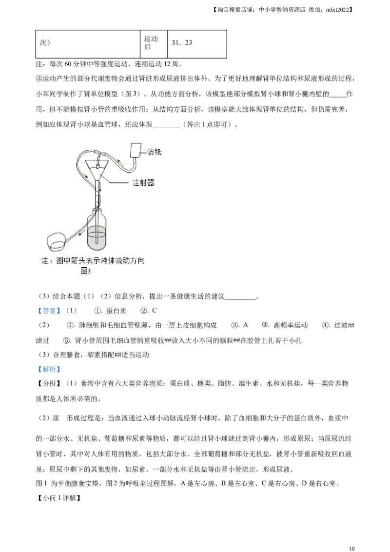 精品解析：2024年湖北省中考生物真题（解析版）_中考真题_8.生物中考真题2015-2024年_2024年中考生物真题_精品解析：2024年湖北省中考生物真题