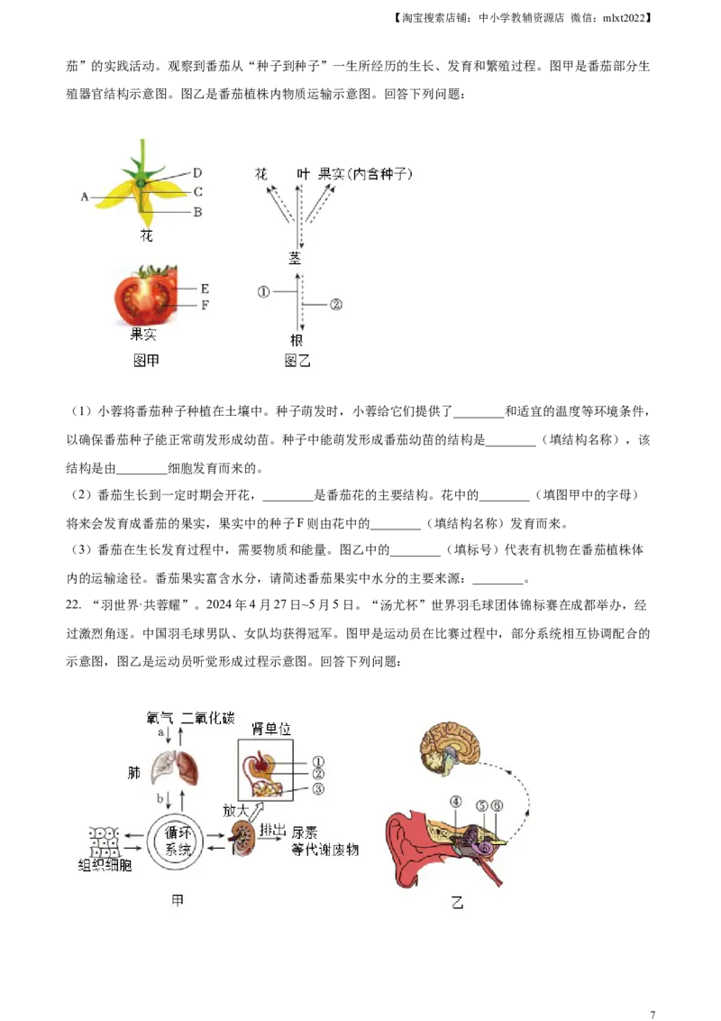 精品解析：2024年四川省成都市中考生物试题（原卷版）_中考真题_8.生物中考真题2015-2024年_2024年中考生物真题_精品解析：2024年四川省成都市初中学业水平考试（中考）生物学试题