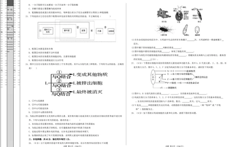 高一生物第一次月考卷（考试版A3）测试范围：必修1第1-2章（人教版2019）_1多考区联考试卷_0922黄金卷：2024-2025学年高一上学期第一次月考9科word解析版含答题卡（江苏专用）