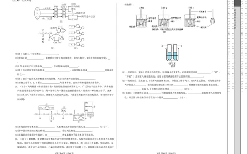 高一生物第一次月考卷（考试版A3）测试范围：必修1第1-2章（人教版2019）_1多考区联考试卷_0922黄金卷：2024-2025学年高一上学期第一次月考9科word解析版含答题卡（江苏专用）