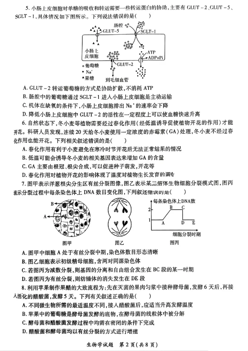 2025届陕西省高考适应性检测（三）生物试题+答案_2025年4月_2504142025年新高考两省(山西、陕西)高三4月联考（全科）