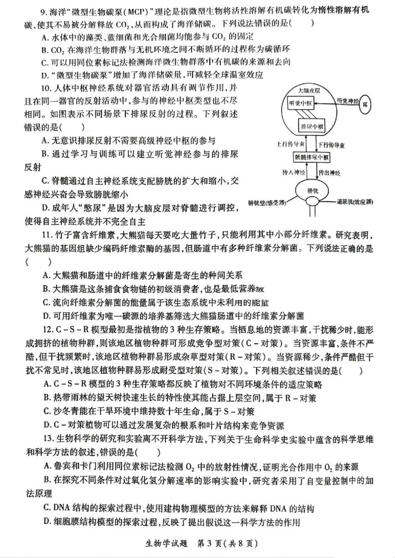 2025届陕西省高考适应性检测（三）生物试题+答案_2025年4月_2504142025年新高考两省(山西、陕西)高三4月联考（全科）