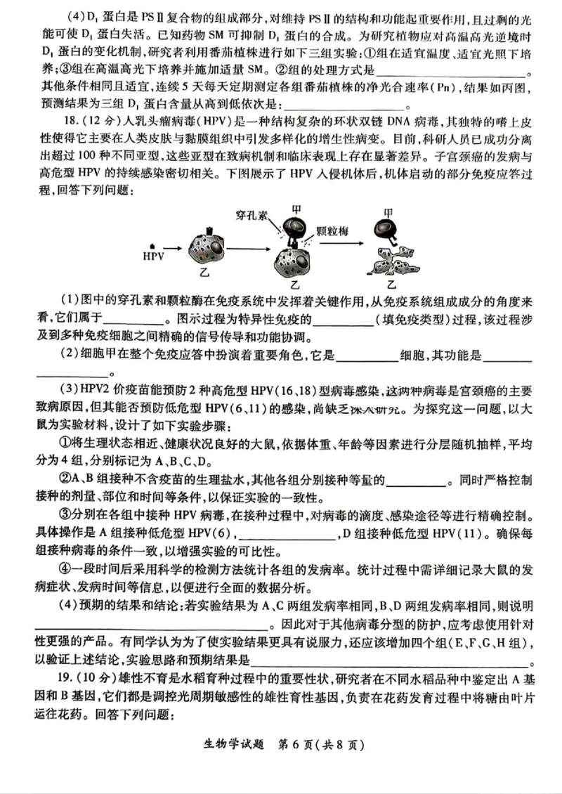 2025届陕西省高考适应性检测（三）生物试题+答案_2025年4月_2504142025年新高考两省(山西、陕西)高三4月联考（全科）