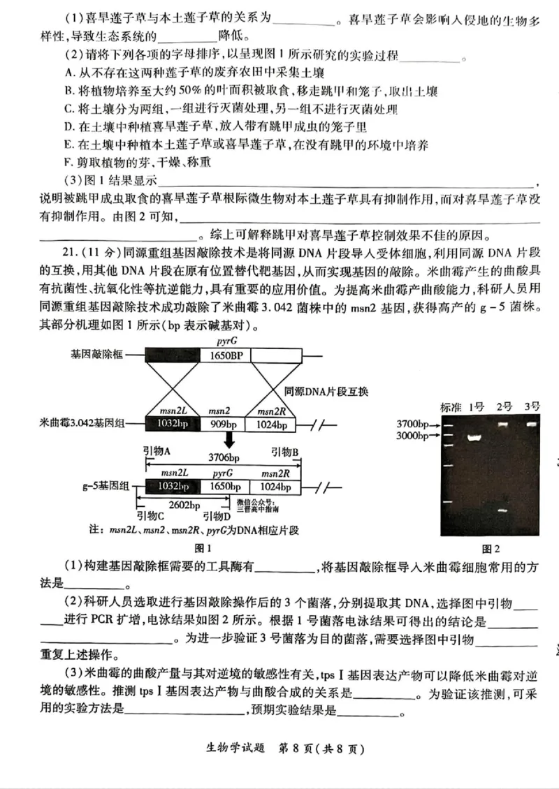 2025届陕西省高考适应性检测（三）生物试题+答案_2025年4月_2504142025年新高考两省(山西、陕西)高三4月联考（全科）