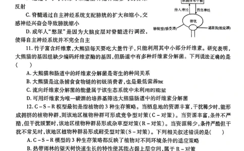 2025届陕西省高考适应性检测（三）生物试题+答案_2025年4月_2504142025年新高考两省(山西、陕西)高三4月联考（全科）