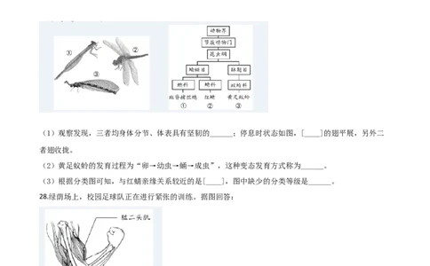 精品解析：福建省2020年中考生物试题（原卷版）_中考真题_8.生物中考真题2015-2024年_2020生物真题74份_2020年中考真题解析生物(福建卷)精编word版