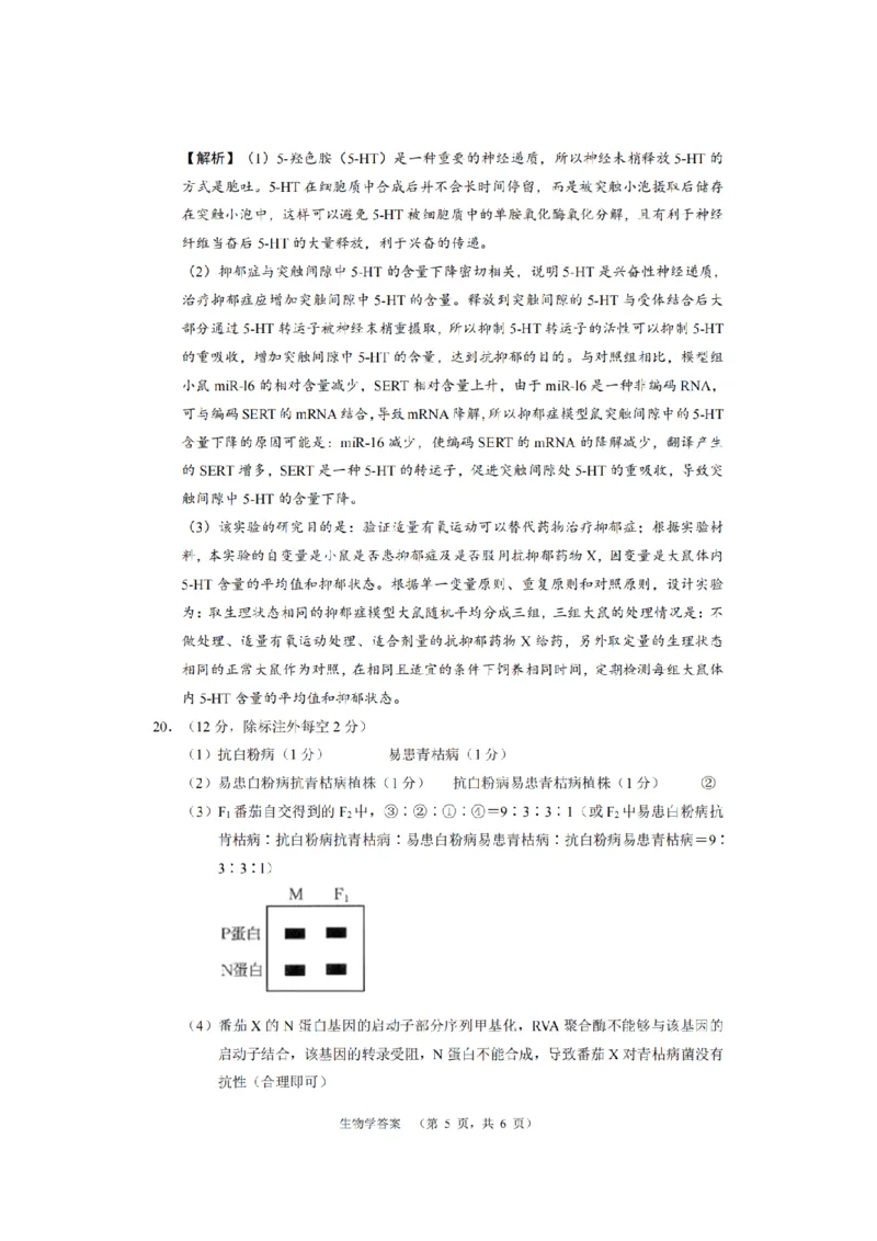 长郡生物答案_2024届湖南省长沙市长郡中学高三上学期期末适应性考试_湖南省长沙市长郡中学2024届高三上学期期末适应性考试生物