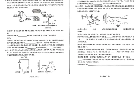 生物(1)_1多考区联考_1110百师联盟2024-2025学年高二上学期11月期中考试_百师联盟2024-2025学年高二上学期11月期中考试生物