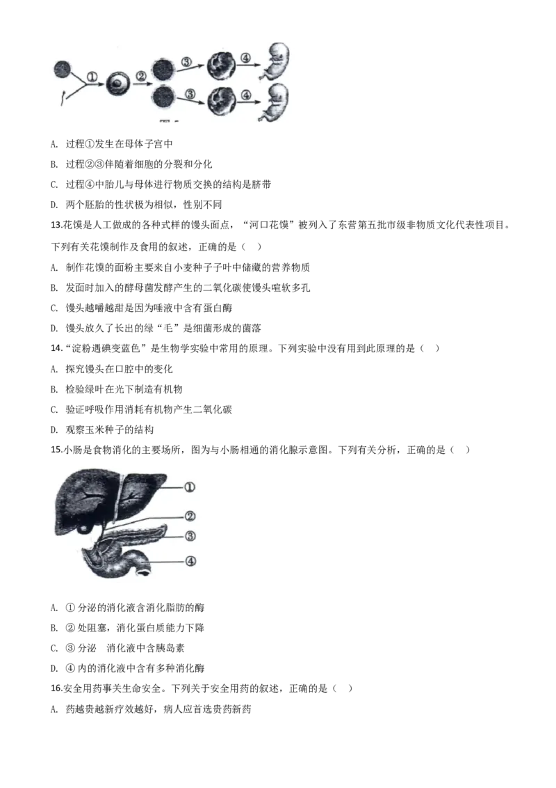 精品解析：山东省东营市2020年中考生物试题（原卷版）_中考真题_8.生物中考真题2015-2024年_2020生物真题74份_2020年中考真题精品解析生物（山东东营卷）精编word版