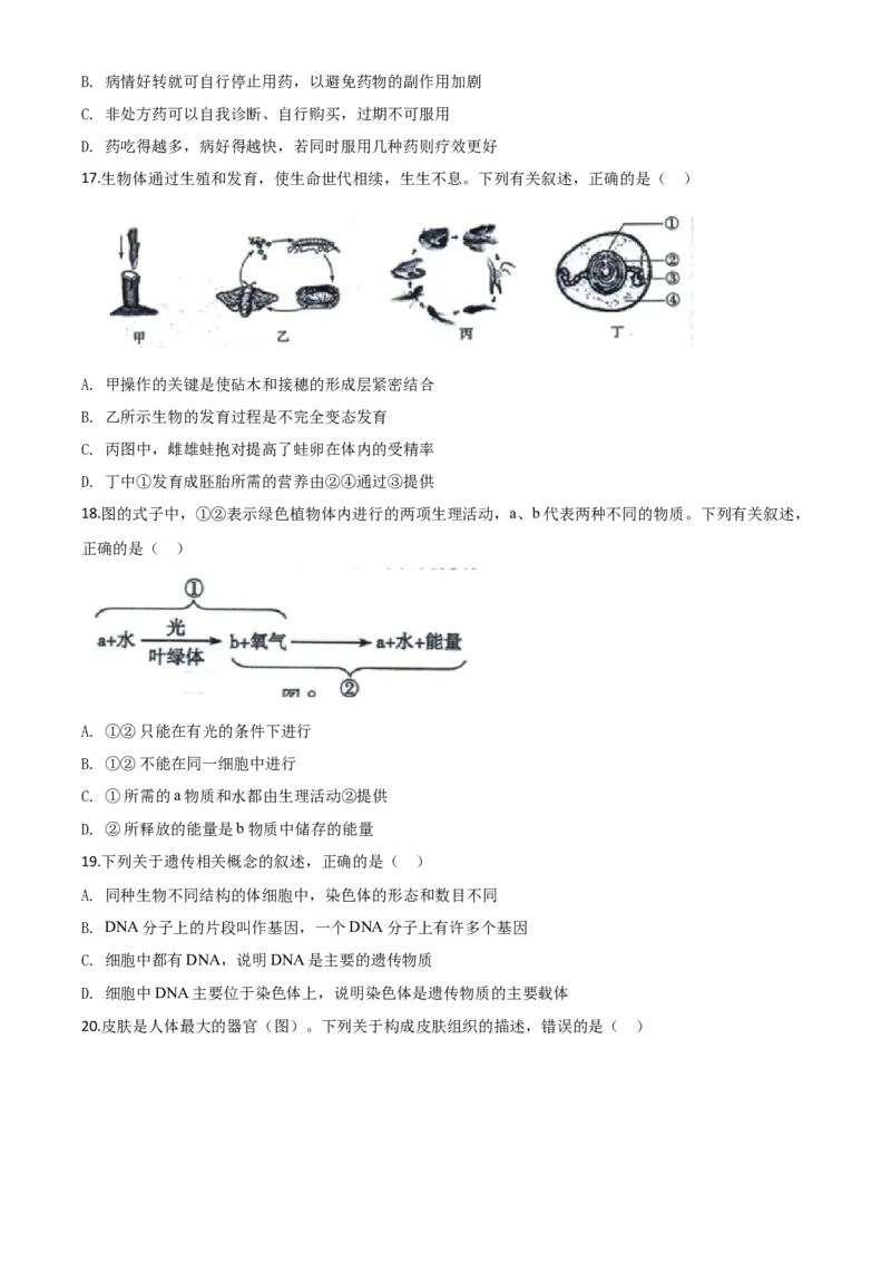 精品解析：山东省东营市2020年中考生物试题（原卷版）_中考真题_8.生物中考真题2015-2024年_2020生物真题74份_2020年中考真题精品解析生物（山东东营卷）精编word版