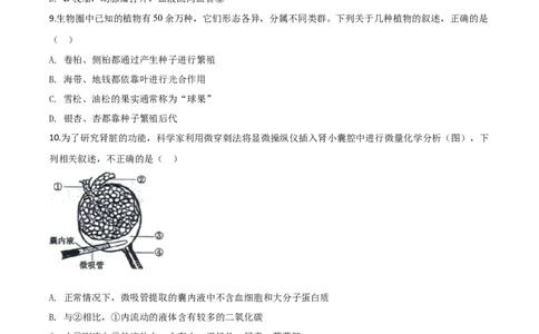 精品解析：山东省东营市2020年中考生物试题（原卷版）_中考真题_8.生物中考真题2015-2024年_2020生物真题74份_2020年中考真题精品解析生物（山东东营卷）精编word版