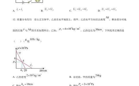 精品解析：2024年四川省南充市中考物理试题（原卷版）_中考真题_4.物理中考真题2015-2024年_2024中考物理真题_精品解析：2024年四川省南充市中考物理试题