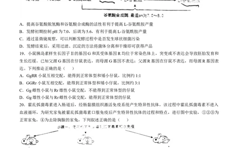 2025年1月内蒙古普通高等学校招生考试适应性测试（八省联考）生物（内蒙古）_2025年1月_❤2025年高考综合改革适应性演练（八省联考）(1)