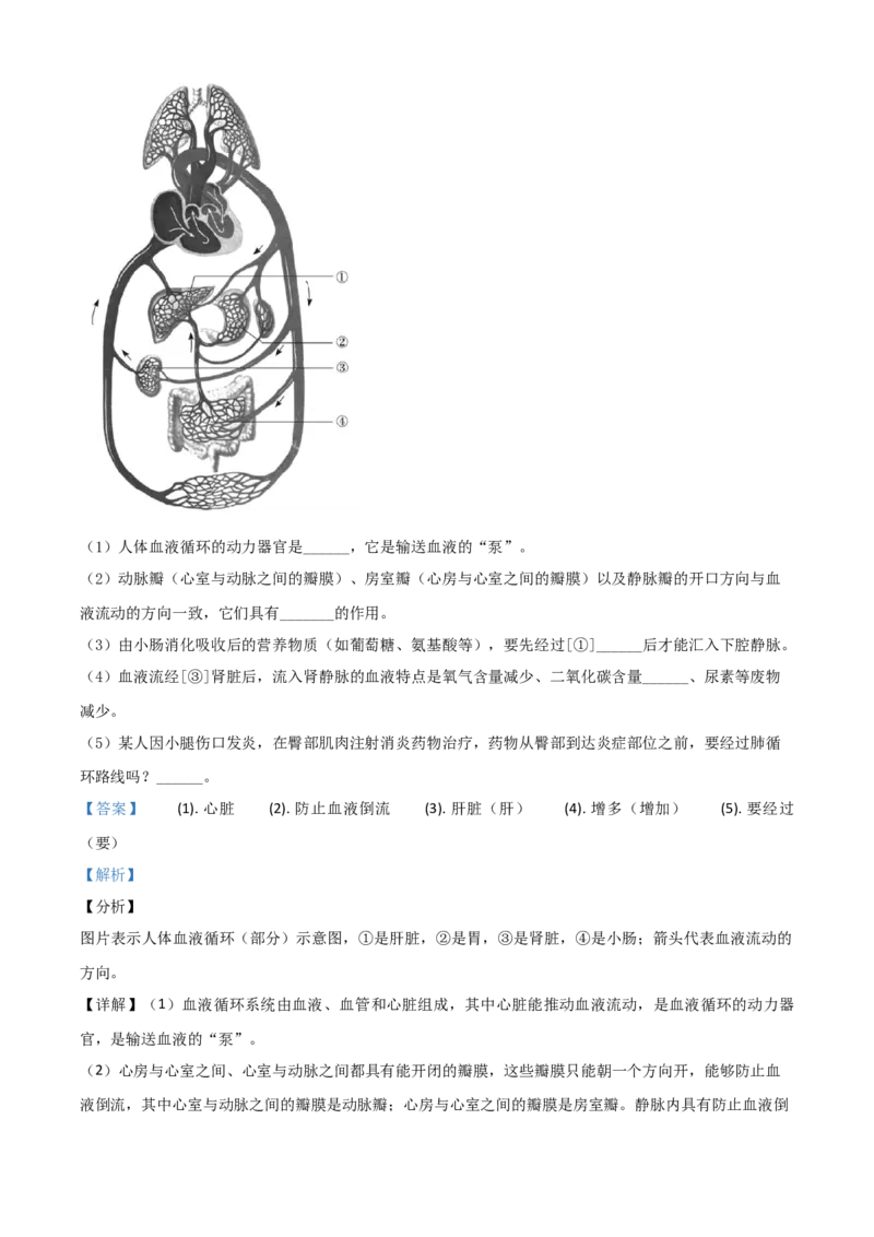 精品解析：湖南省郴州市2020年中考生物试题（解析版）_中考真题_8.生物中考真题2015-2024年_2020生物真题74份_2020年中考真题精品解析生物(湖南郴州卷)精编word版