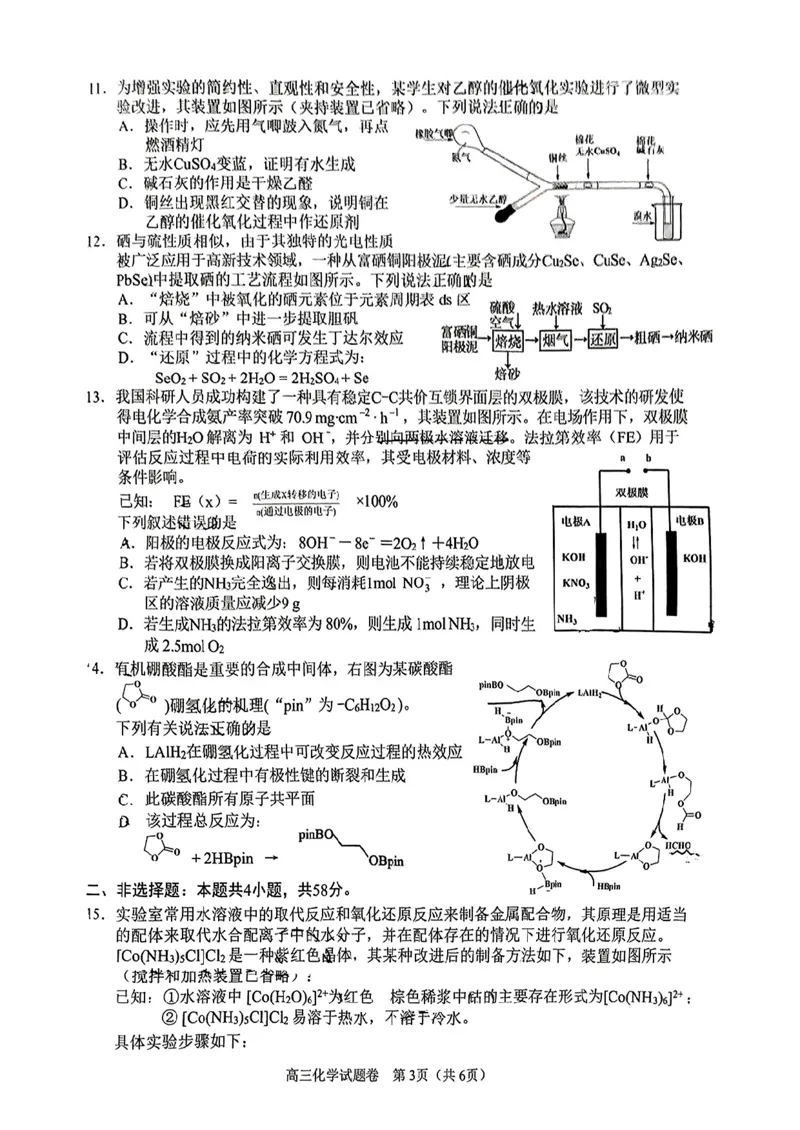 2024-2025学年上学期湖南省益阳市高三化学期末(试题卷)_2025年1月_250120湖南益阳市2024-2025学年高三上学期期末考试_化学