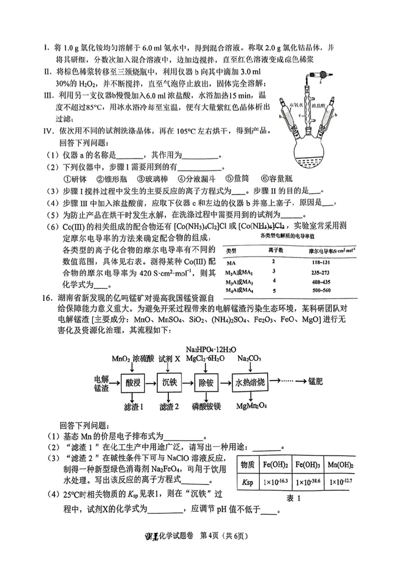2024-2025学年上学期湖南省益阳市高三化学期末(试题卷)_2025年1月_250120湖南益阳市2024-2025学年高三上学期期末考试_化学